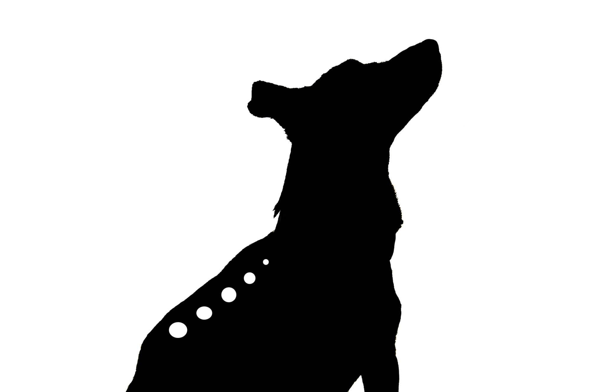 Logo, eine Hundesilhouette