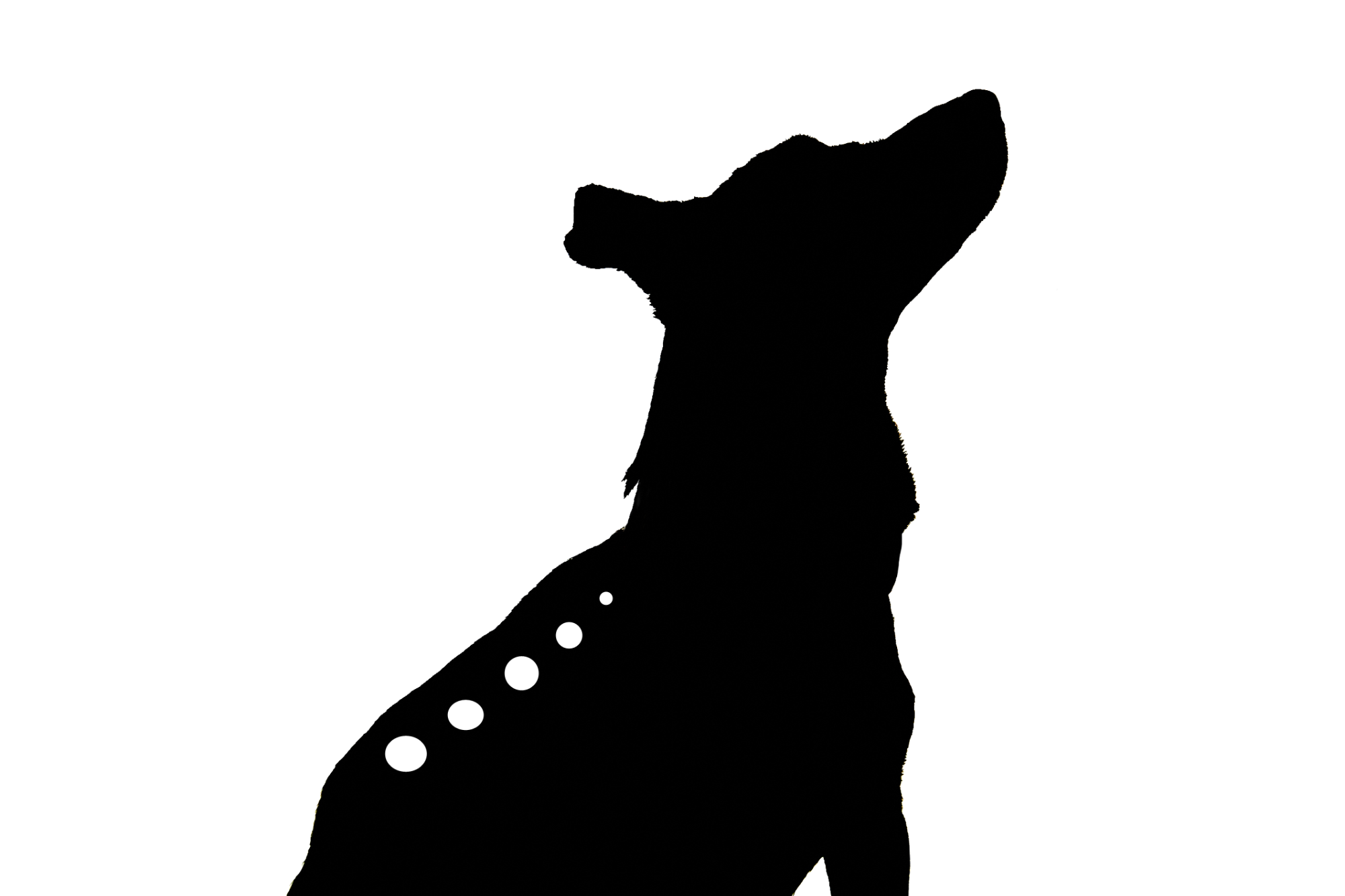 Logo, eine Hundesilhouette